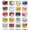ILIA哩亞❤️‍🔥3顆入/通用一代🍬第一名的濃厚度