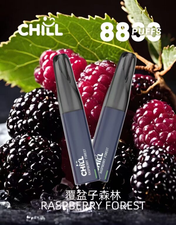 ff65088029c160752db98fc86965adf4.jpg CHILL😉拋棄式8800口|8ml大容量|熱門爆款🔥
