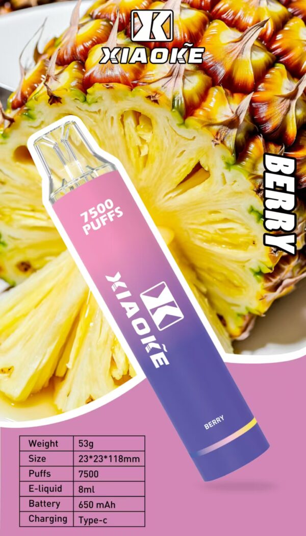 微信圖片_20250309014853.jpg 【XIAOKE 梟客】拋棄式🍬 7500口