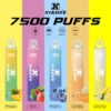 微信圖片_20250309014902.jpg 【XIAOKE 梟客】拋棄式🍬 7500口